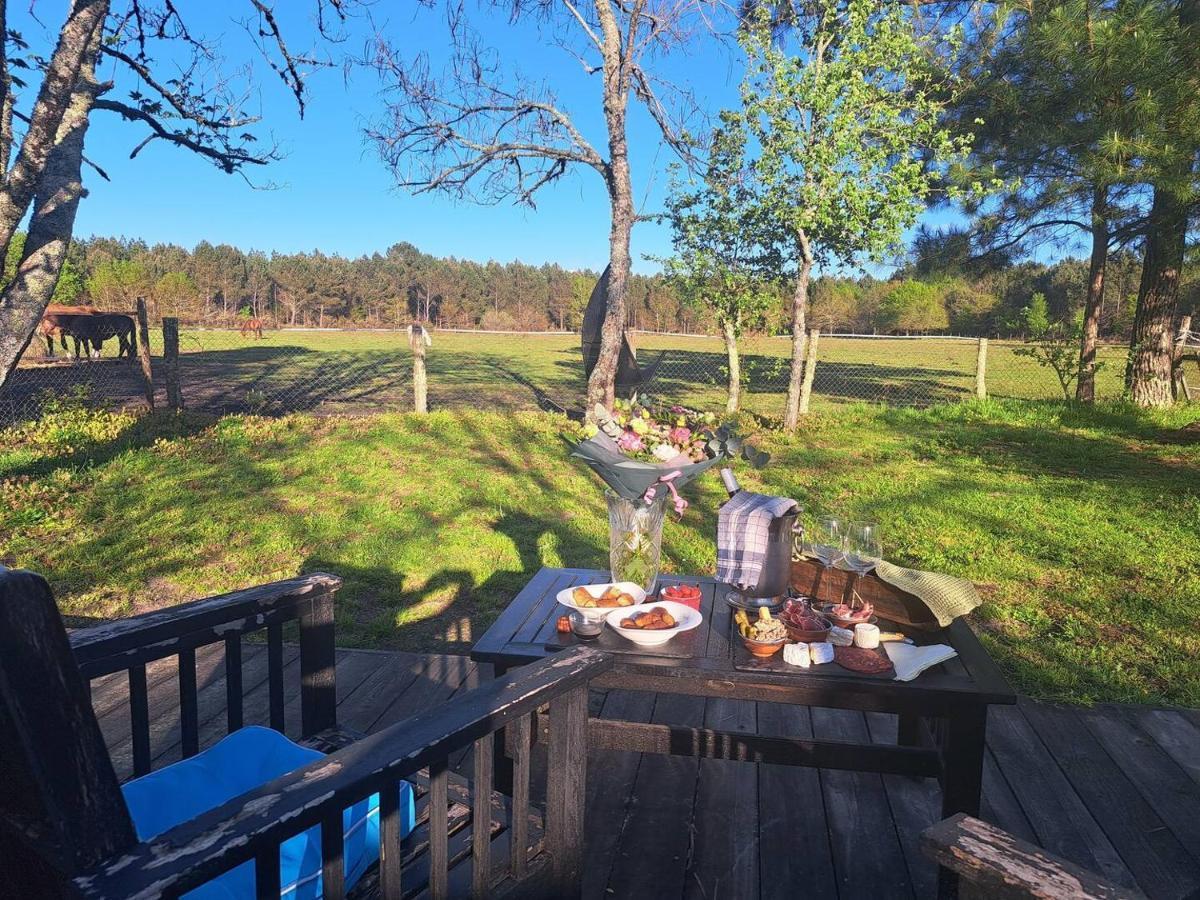 Domaine L'Oree Du Marais Le Barp ภายนอก รูปภาพ